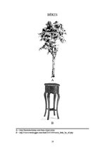 Konspekts 'Koksnes trauslums un lokanība', 19.