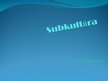 Prezentācija 'Subkultūra', 1.