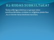 Prezentācija 'Subkultūra', 3.