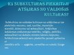 Prezentācija 'Subkultūra', 4.