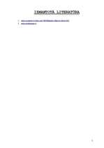 Referāts 'Vēja enerģija', 5.