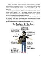 Referāts 'Pētījums par stila aizspriedumiem pret „emo”', 5.