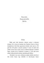 Referāts 'Opcijas', 1.