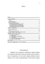 Referāts 'Opcijas', 3.