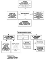 Konspekts 'Ķīmisko saišu veidi. Kovalentās saites paveidi', 1.