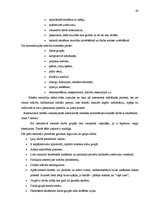 Diplomdarbs 'Interaktīvas mācību metodes matemātikas stundās skolēnu radošās domāšanas attīst', 42.