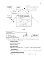 Diplomdarbs 'Interaktīvas mācību metodes matemātikas stundās skolēnu radošās domāšanas attīst', 58.