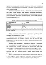 Diplomdarbs 'Interaktīvas mācību metodes matemātikas stundās skolēnu radošās domāšanas attīst', 69.