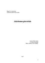 Referāts 'Atkritumu pārstrāde', 1.