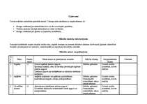 Referāts 'Speciālās skolas bērniem ar garīgās attīstības traucējumiem mācību priekšmetu pr', 11.