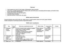 Referāts 'Speciālās skolas bērniem ar garīgās attīstības traucējumiem mācību priekšmetu pr', 13.