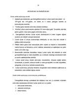 Referāts 'Demogrāfija', 34.