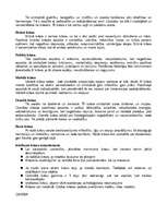 Konspekts 'Vides reklāma', 4.