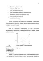 Diplomdarbs 'Mazo un vidējo uzņēmumu attīstības iespējas', 14.