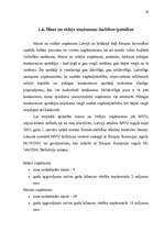 Diplomdarbs 'Mazo un vidējo uzņēmumu attīstības iespējas', 19.
