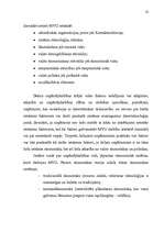 Diplomdarbs 'Mazo un vidējo uzņēmumu attīstības iespējas', 22.