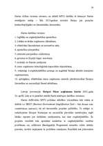 Diplomdarbs 'Mazo un vidējo uzņēmumu attīstības iespējas', 34.