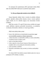 Diplomdarbs 'Mazo un vidējo uzņēmumu attīstības iespējas', 42.