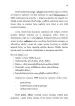 Diplomdarbs 'Mazo un vidējo uzņēmumu attīstības iespējas', 43.
