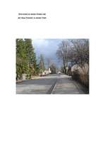 Eseja 'Meine Strasse', 8.