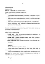 Prakses atskaite 'Integrētā prakse pirmsskolā', 4.