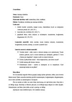 Prakses atskaite 'Integrētā prakse pirmsskolā', 18.