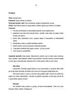 Prakses atskaite 'Integrētā prakse pirmsskolā', 28.