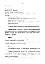 Prakses atskaite 'Integrētā prakse pirmsskolā', 42.