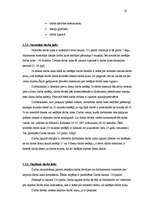 Referāts 'Darba samaksas aprēķināšana', 15.