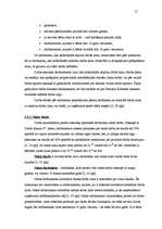 Referāts 'Darba samaksas aprēķināšana', 16.