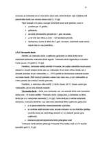 Referāts 'Darba samaksas aprēķināšana', 17.