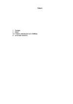 Konspekts 'Viesnīcu raksturojums', 2.