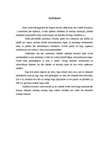 Referāts 'Žogi', 26.