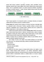 Referāts 'Personāla motivēšana uzņēmumā', 5.