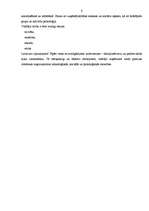 Referāts 'Personāla motivēšana uzņēmumā', 6.