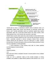 Referāts 'Personāla motivēšana uzņēmumā', 17.