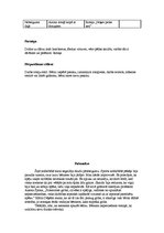 Konspekts 'Kvalifikācijas eksāmena nodarbība pirmsskolā', 4.