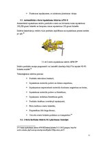 Referāts 'Sviesta iepakošana', 11.