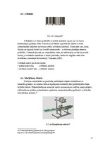 Referāts 'Sviesta iepakošana', 17.