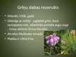 Prezentācija 'Latvijas dabas rezervāti', 4.