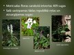 Prezentācija 'Latvijas dabas rezervāti', 10.