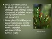 Prezentācija 'Latvijas dabas rezervāti', 17.