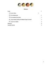 Referāts 'Eiro ieviešana Latvijā', 2.