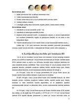 Referāts 'Eiro ieviešana Latvijā', 11.