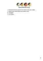 Referāts 'Eiro ieviešana Latvijā', 15.