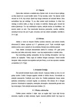 Referāts 'Senā Grieķija un Roma', 6.