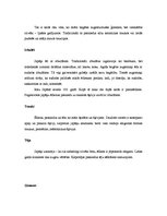 Konspekts 'Japāņi un to dzīves elementi', 4.