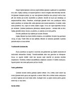 Konspekts 'Japāņi un to dzīves elementi', 5.