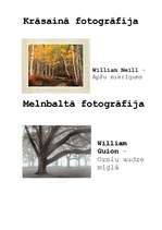 Konspekts 'Tēlotājmākslas veidi', 47.