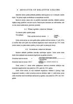 Referāts 'Ceļu satiksmes negadījumi Latvijā no 1996. līdz 2006.gadam', 11.